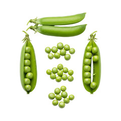 Fresh Green Peas and Pea Pods - Organic Vegetable Arrangement