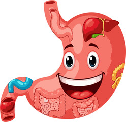 Happy Cartoon Stomach with Intestines and Liver Illustration