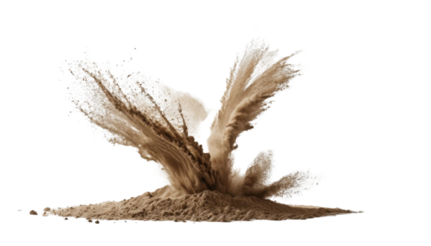 Dead sea urchin silhouette on white sand, a prickly abstract of nature