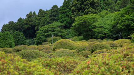 日本周遊　箱根山のホテルあたり