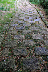 日本周遊　箱根山のホテルあたり