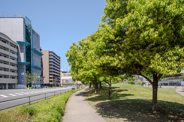 大分市街地の大分駅前広場