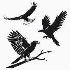Obraz premium set of silhouettes of birds