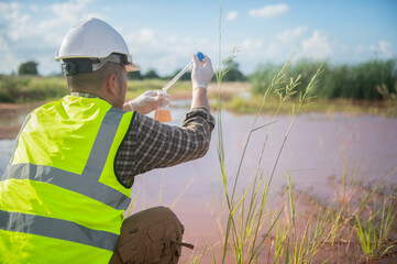 An environmental engineer examines water samples from a natural to identify organisms in ecosystem