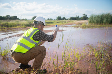 An environmental engineer examines water samples from a natural to identify organisms in ecosystem
