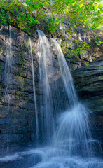 Southern Illinois Nature

