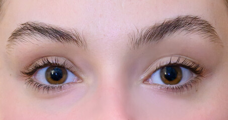 Gros plan sur les yeux d'une personne avec des sourcils et cils naturels