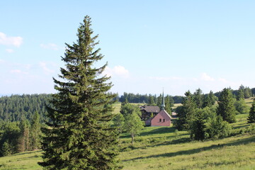 landscape in the mountains