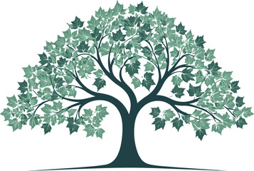 Obraz premium green tree vector illustration