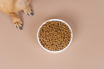 Closeup of a bowl of dog food on beige floor perfect for minimalist pet nutrition ads or product label mockups