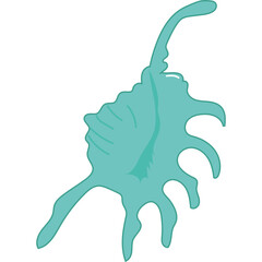Sea Shell