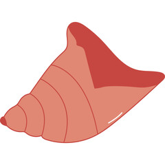 Sea Shell