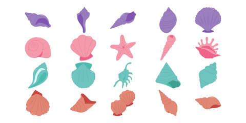 Sea Shell