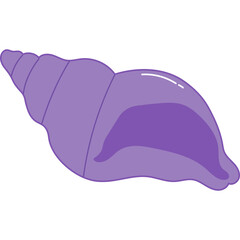 Sea Shell