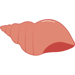Sea Shell