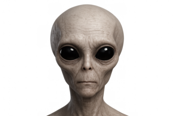 Photorealistic grey alien with oversized dark eyes, smooth skin, enigmatic gaze against transparent backdrop