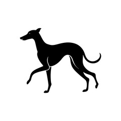 running greyhound silhouette vector illustration