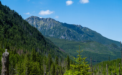 A fragment of the Woloszyn ridge seen from the valley on a beautiful sunny day.