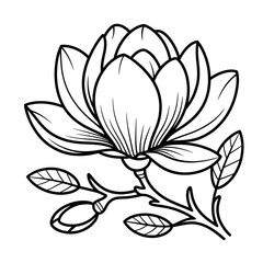 Fototapeta premium Magnolia beautiful flower illustration vector coloring page