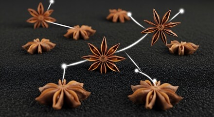 Star anise spice aromatic ingredient culinary flavoring food seasoning cuisine ingredient