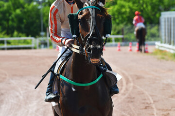 course hppique en trot monté
