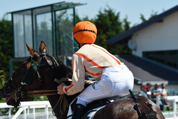 course hppique en trot monté