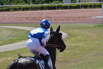 course hippique en trot monté