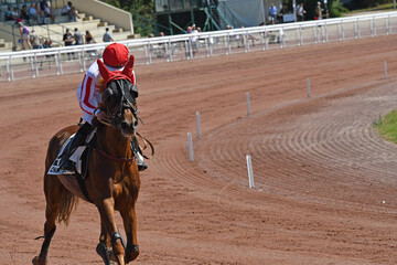 course hippique en trot monté