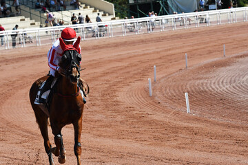 course hippique en trot monté