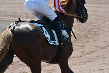 course hppique en trot monté
