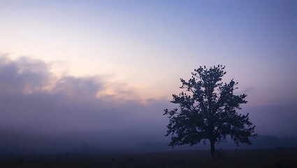 Solitary tree in misty field at dawn