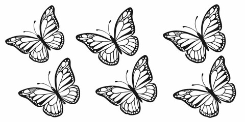 A stunning collection of black and white butterfly and insect silhouettes in a natural, decorative pattern