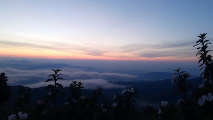 Fototapeta premium Serene sunrise over mountainous landscape with flowers