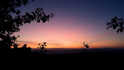 Silhouette of branches against a vibrant sunrise landscape