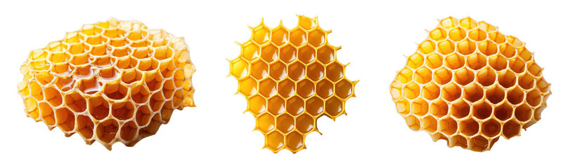 Close-up of honeycomb structures showcasing natural hexagons