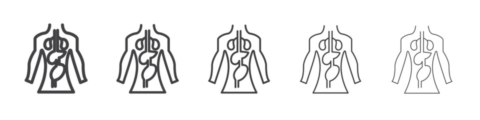 human body anatomy icon outline ilustration vector symbol