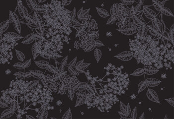 Elderflower seamless pattern. Elder flowers and berries on dark background. Vector illustration hand drawn.