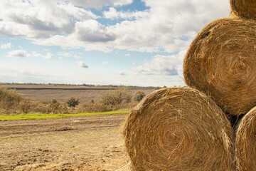 Straw bales on a farm in a field, against a blue sky, seasonal harvest, autumn.