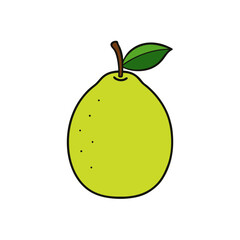 guava fruit on white background   .svg