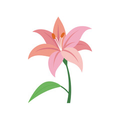 Naklejka premium lily flower full concept on white background .svg