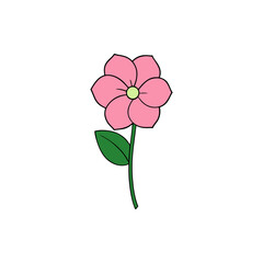 Fototapeta premium mallow flower full concept on white background .svg