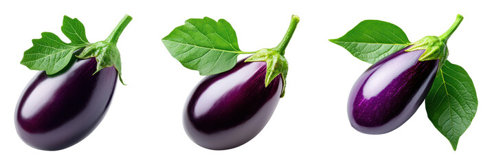 Fresh eggplants with green leaves on a black background