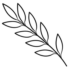 Olive Branch line art vector