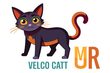 Cartoon Cat Character with Velco Catt and Mr Lettering Cheerful Feline Design for Branding and Children Illustrations