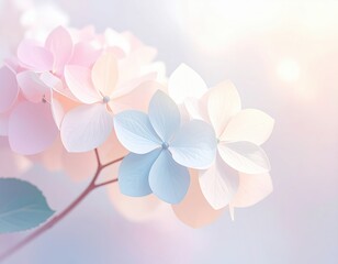 パステル調の紫陽花の背景、Warm Pastel Hydrangea Blossoms in Abstract Bokeh Background  
