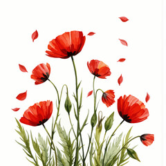 Naklejka premium Red poppy flowers with green leaves and falling petals on white background 