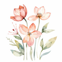 Watercolor flowers in soft pink and green with delicate leaves  