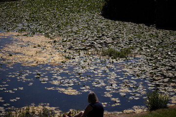 walking in the park in UK