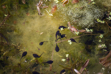 abstract grunge background in UK