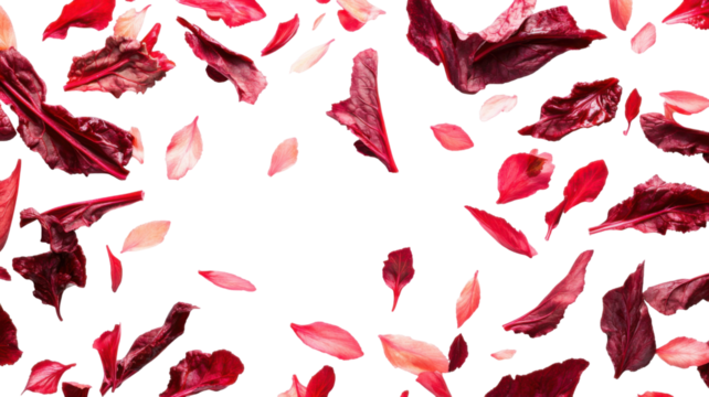 Seamless pattern with red poppies isolated on white background